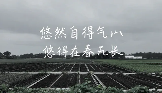 品牌策略：文案创作在品牌策划中的性能与适用条件