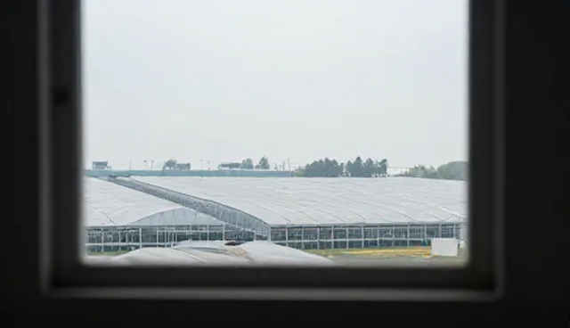 品牌广告投放方案的适用条件与选择依据